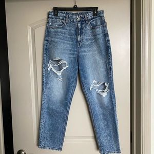 AE Curvy Mom Jeans